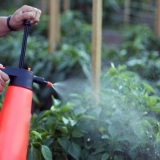 Pravilna gnojidba za folijarnu prihranu